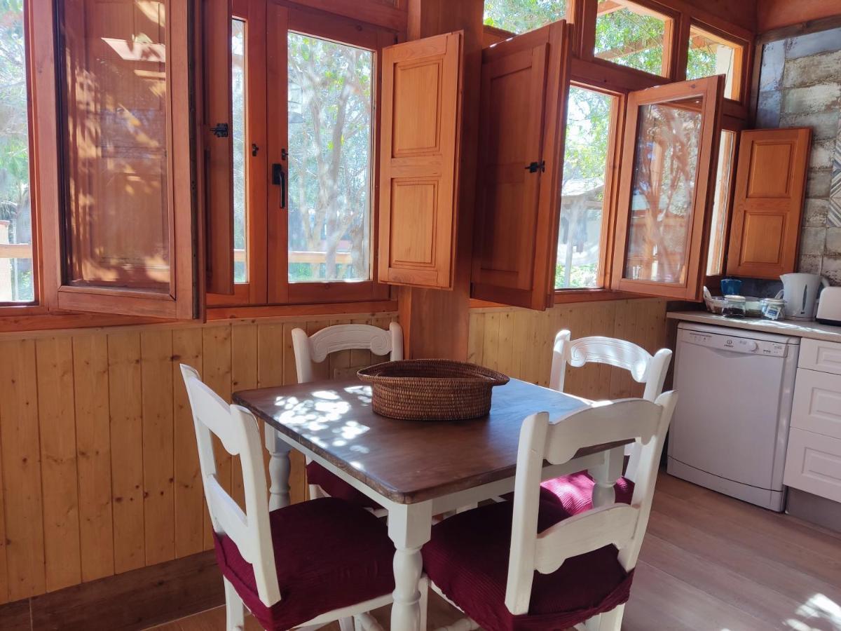 Apartamento El Grifo カルモナ エクステリア 写真