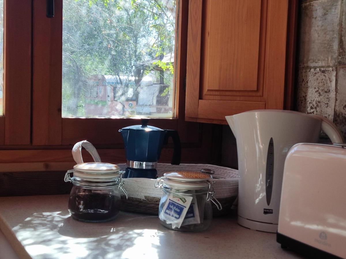 Apartamento El Grifo カルモナ エクステリア 写真