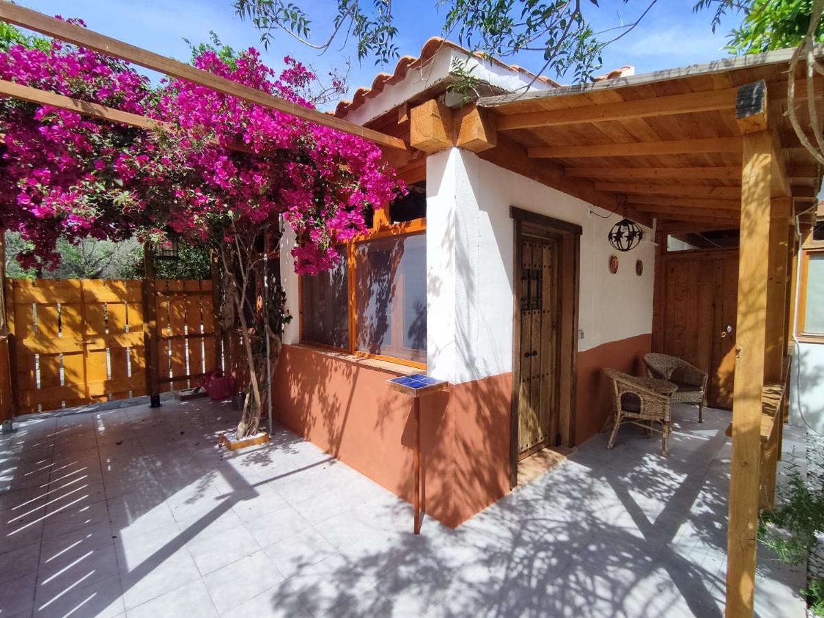 Apartamento El Grifo カルモナ エクステリア 写真