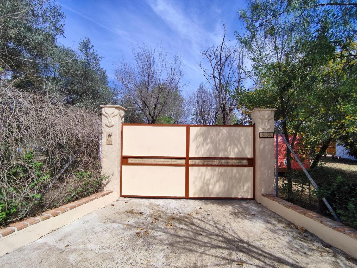 Apartamento El Grifo カルモナ エクステリア 写真
