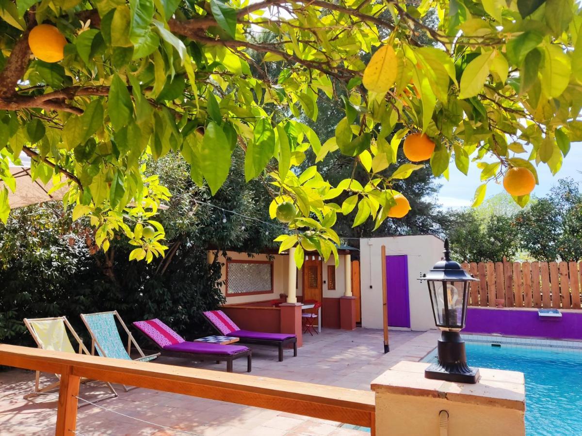 Apartamento El Grifo カルモナ エクステリア 写真